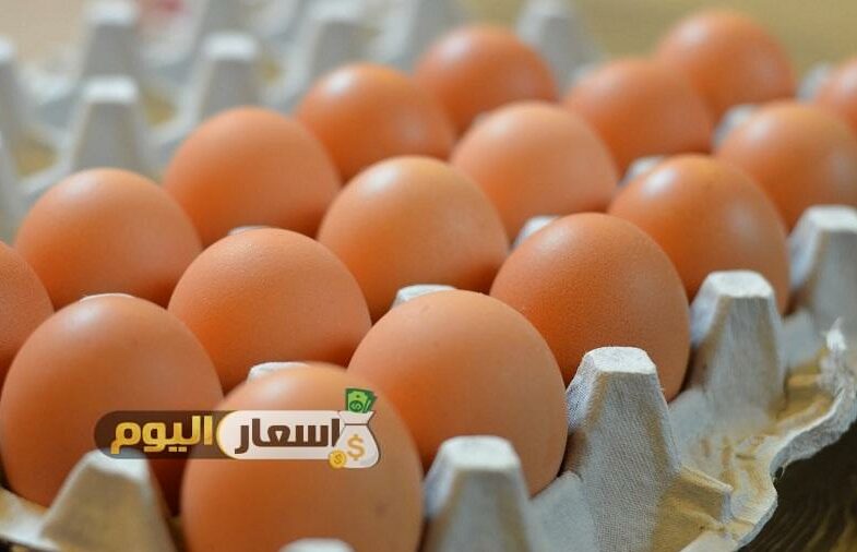 اسعار البيض اليوم - بورصة البيض فى مصر 