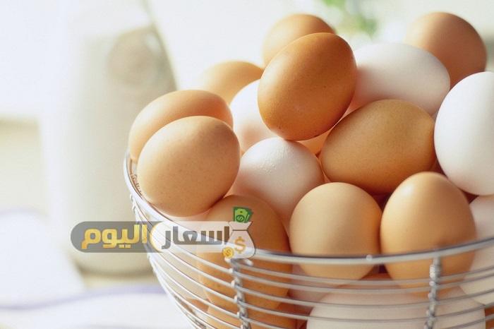 Photo of بورصة البيض ببنها أسعار البيض اليوم