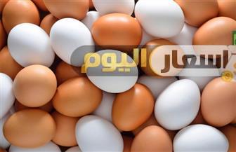 Photo of توقعات اسعار البيض غداً