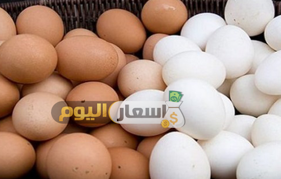 سعر البيض اليوم