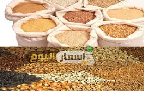 Photo of أسعار أعلاف الإيمان اليوم أخر تحديث