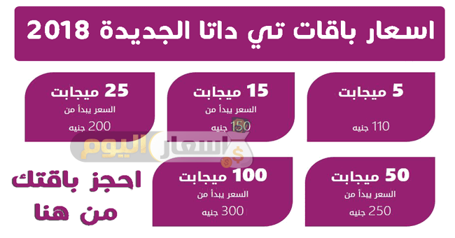 Photo of أسعار تي إي داتا 2024 اسعار اشتراك انترنت we