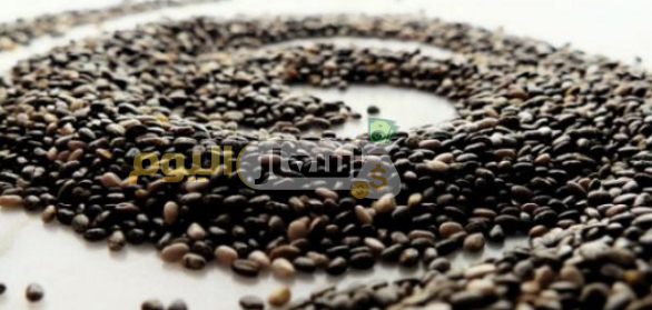 Photo of سعر بذور الشيا فى مصر 2024 اخر تحديث