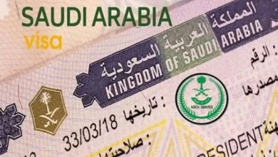 Photo of سعر التأشيرة التجارية للسعودية 2025