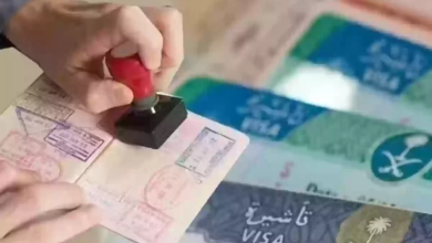 Photo of أسعار تأشيرة العمل للسعودية 2025